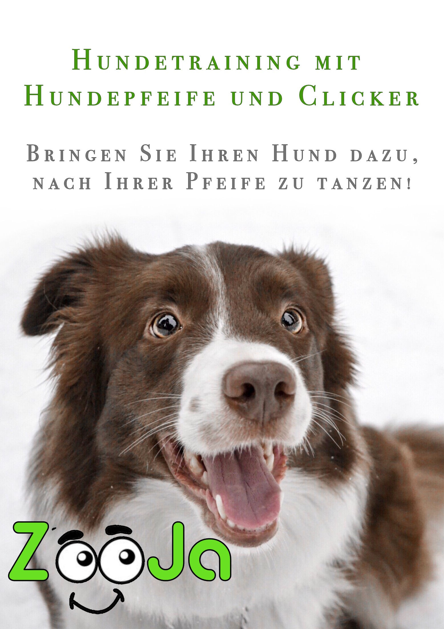 Hundetraining mit Hundepfeife und Clicker: Bringen Sie Ihren Hund dazu, nach Ihrer Pfeife zu tanzen!